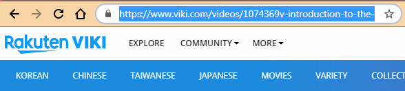 video downloader for viki