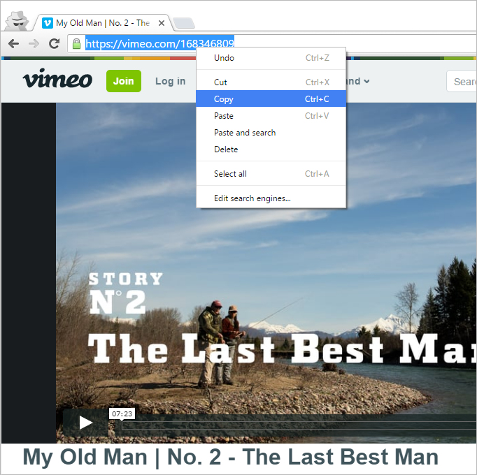 download vimeo videos