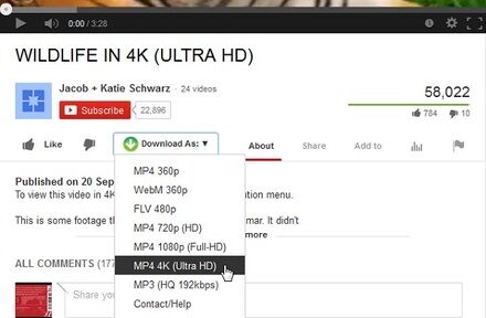easy youtube video downloader pro easy youtube video downloader pro